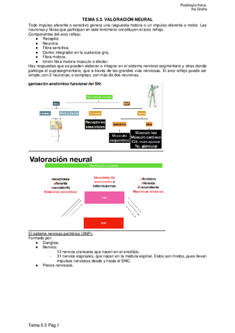 TEMA-4.3-VALORACION-NEURAL.pdf