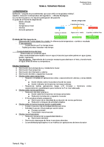 TEMA-6.TERAPIAS-FISICAS.pdf