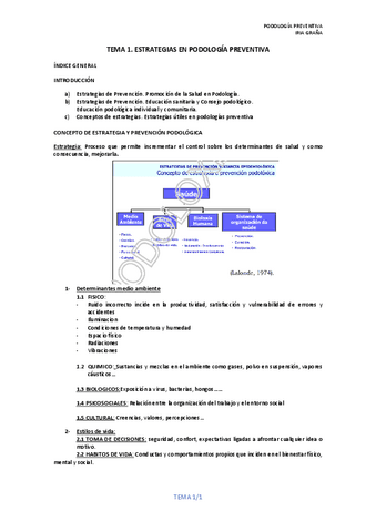 impresoTEMA-1.pdf