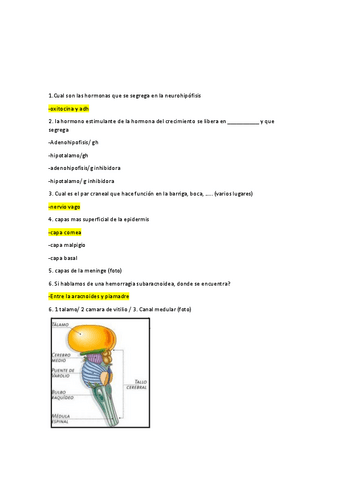 Fisiologia-Anatomia-Parcial.-Preguntas-examen-31-03-2022.pdf