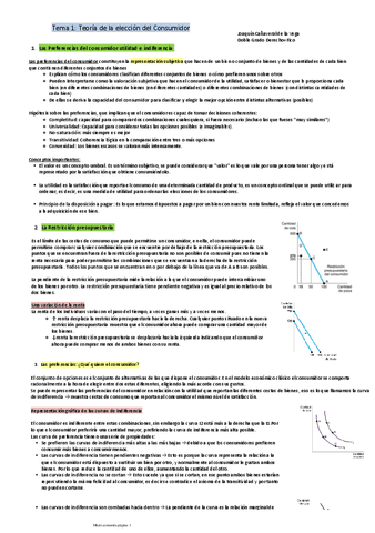 Tema-1Teoria-de-la-eleccion-del-Consumidor.pdf
