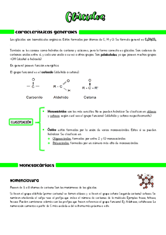 Glucidos.pdf