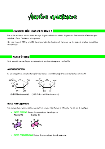 Acidos-nucleicos.pdf