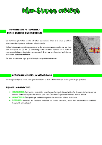 Membrana-celular.pdf