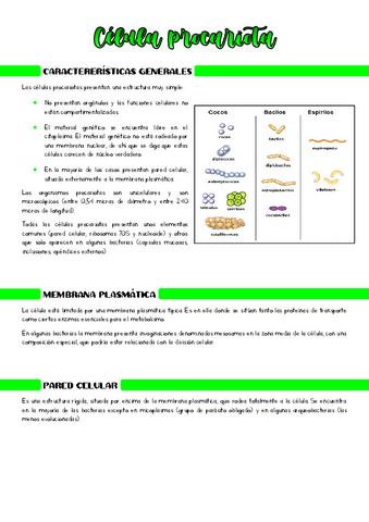 Celula-procariota.pdf