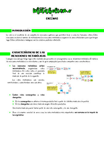 Metabolismo-y-enzimas.pdf