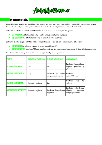 Anabolismo.pdf