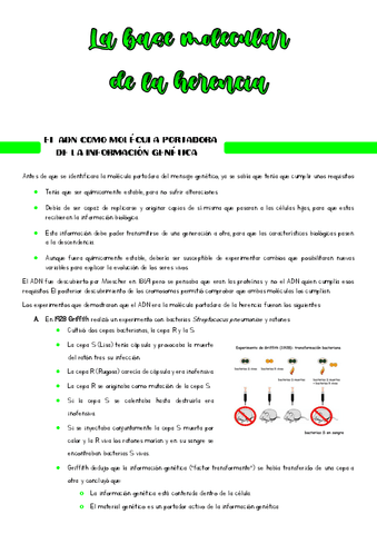 Replicacion-ADN.pdf