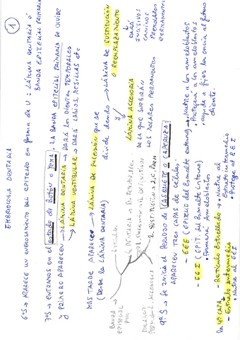 Resumen-de-Embriologia-Dental.pdf