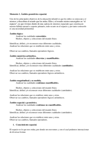 Momento 1 ambito espacial RESUMEN.pdf