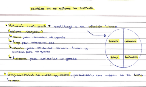 rotacion-cuatrienal.pdf