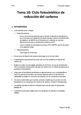 Tema-10.pdf