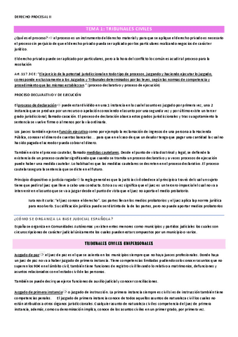 TEMA-1-TRIBUNALES-CIVILES.pdf