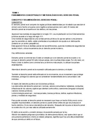 Tema-1.-Fundamentos-conceptuales-y-metodologicos-del-derecho-penal-2.pdf