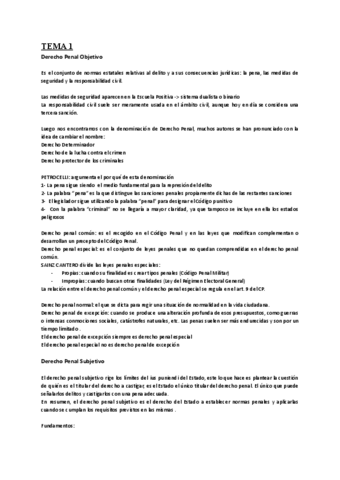 derecho-penal-apuntes-manual.pdf