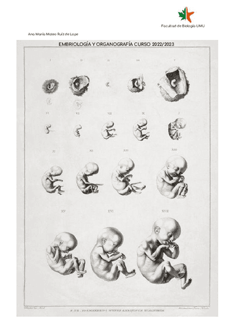 Embrio-1-parcial.pdf