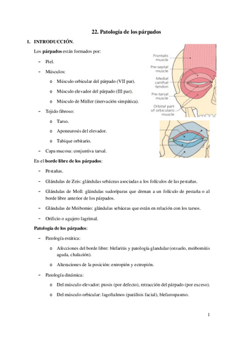 22.-Patologia-de-los-parpados.pdf