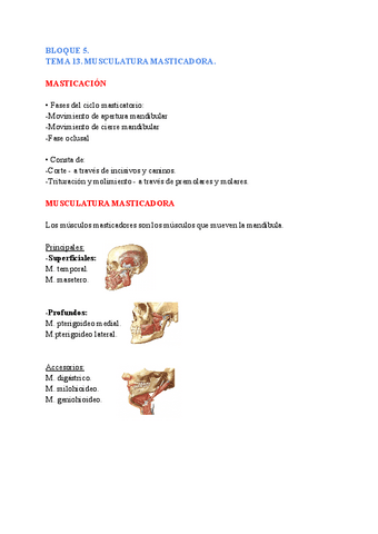Anatomia-general-TEMAS-13-14.pdf