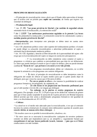 Princ.resocializacion.pdf