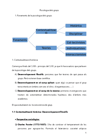 Psicologia-dels-grups-APUNTS.pdf