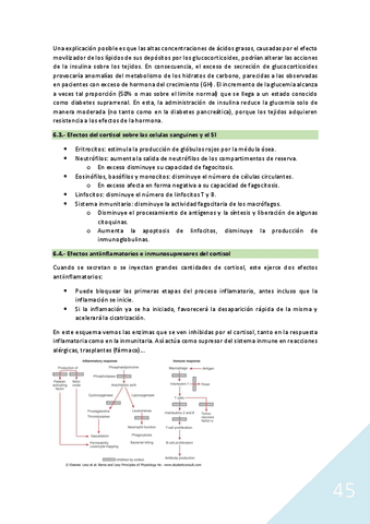 genetica-tema-12.pdf