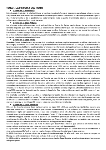 Temario-Remo.pdf