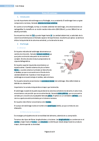 Tema-2-Anatomia-II-El-estomago.pdf