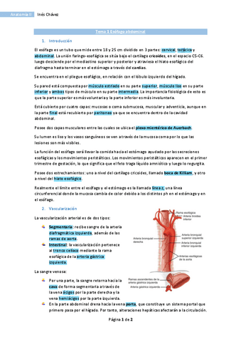Tema-1-Anatomia-II-Esofago-abdominal.pdf