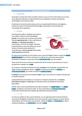 Tema-3-Anatomia-II-Duodeno-pancreas.pdf