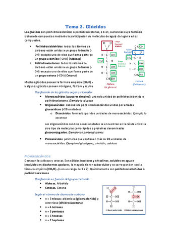 Tema-3.-Glucidos.pdf