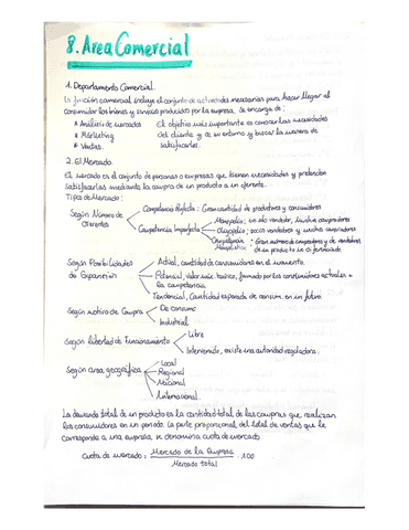 Area-Comercial.pdf