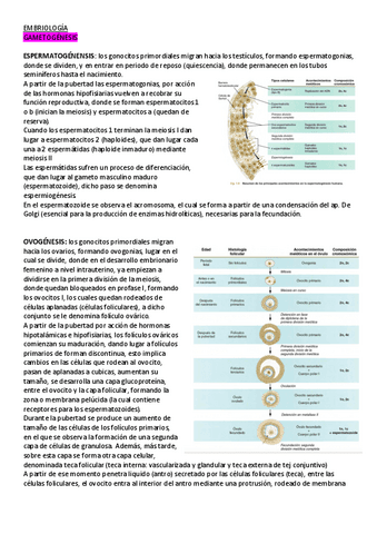 APUNTES-EMBRIOLOGIA-2223.pdf