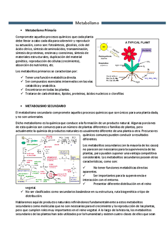 metabolismo.pdf