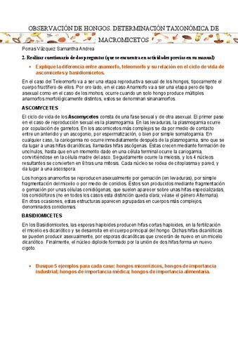 OBSERVACION-DE-HONGOS.-DETERMINACION-TAXONOMICA-DE.pdf