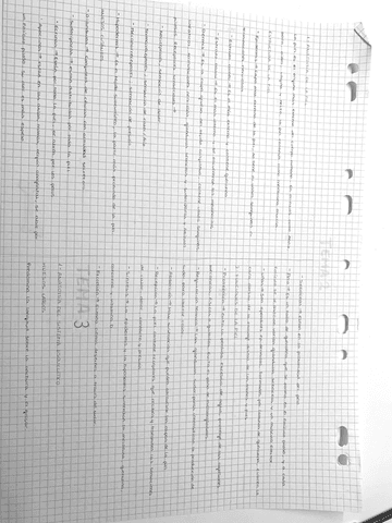 Tema 2 y 3: Anatomía de la piel y sistema esqueletico.pdf