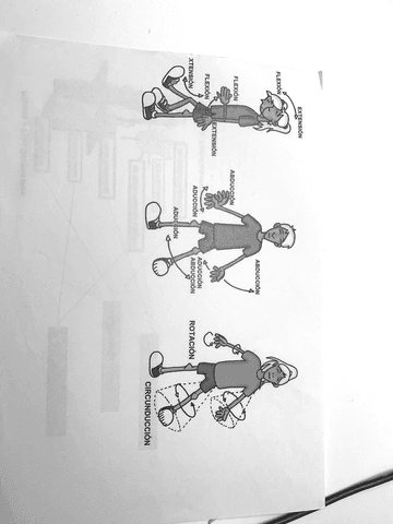 Posiciones-corporales-planos-y-ejes-corporales.pdf