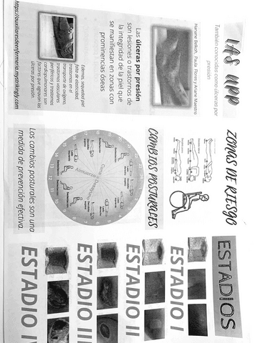 Lesiones-de-la-piel-Ulceras-por-presion.pdf