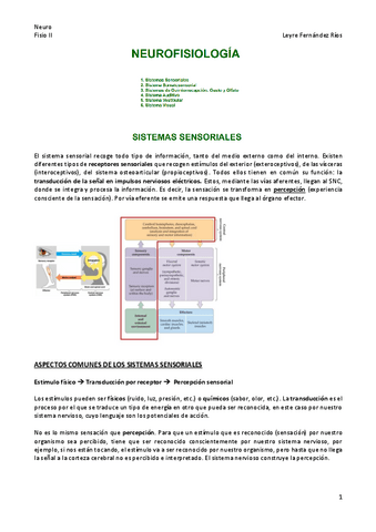 Neuro-fisio-II.pdf