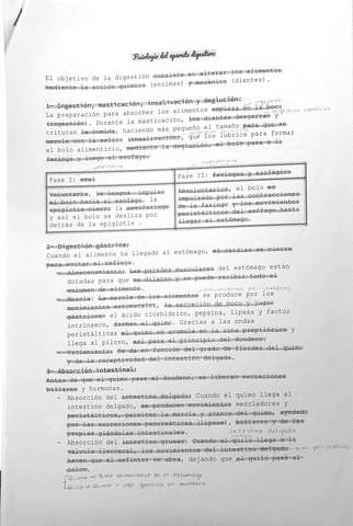 Fisiologia-aparato-digestivo.pdf