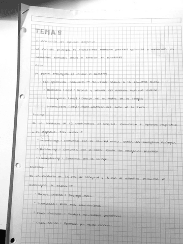 Tema-8-Anatomia-del-aparato-digestivo.pdf