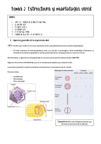 tema-2-virologia.pdf