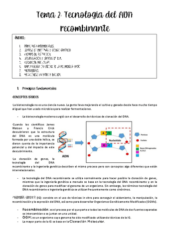 tema-2-biotec-microbiana.pdf