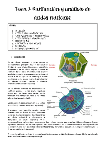 tema-2-ing-genetica.pdf