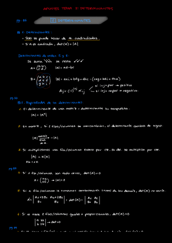 Tema-2-Determinantes.pdf