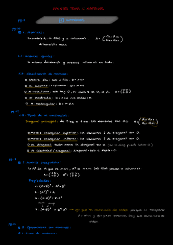 Tema-1-Matrices.pdf