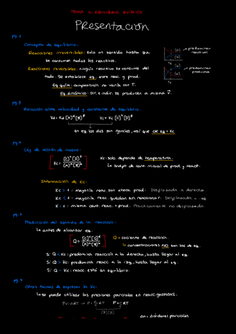 Tema-4-Equilibrio.pdf