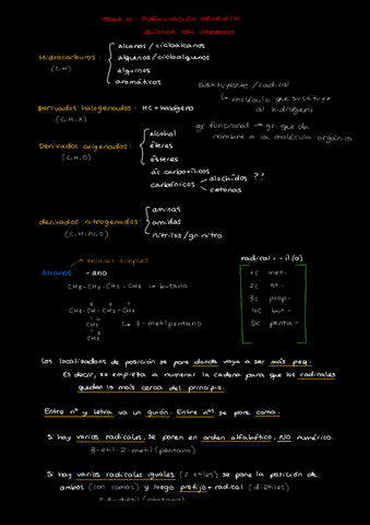 Tema-10-Formulacion-Organica.pdf