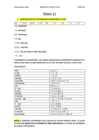 TEMA-31.pdf