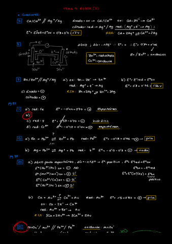 Tema-9-Redox-Ejers.pdf