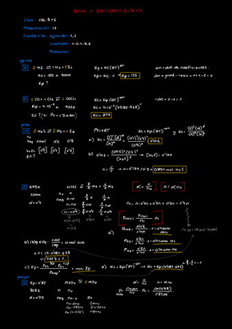 Tema-4-Equilibrio-Ejers.pdf